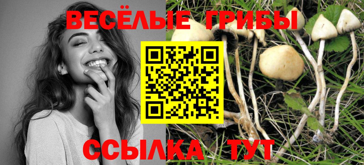 Миллерово  Галлюциногенные грибы прущие грибы  хочу   Вход с VPN 
