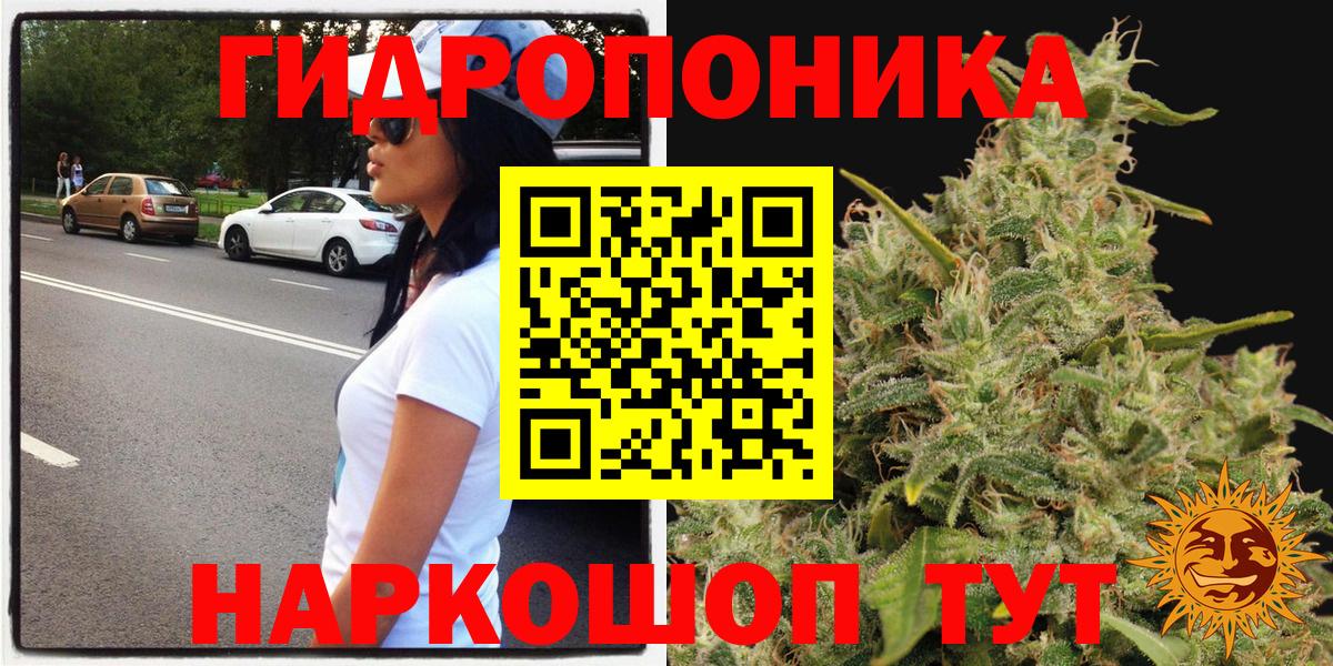 Шишки марихуана Ganja  Бошки Шишки планчик  Вход с VPN  Бошки марихуана Ganja  Миллерово 